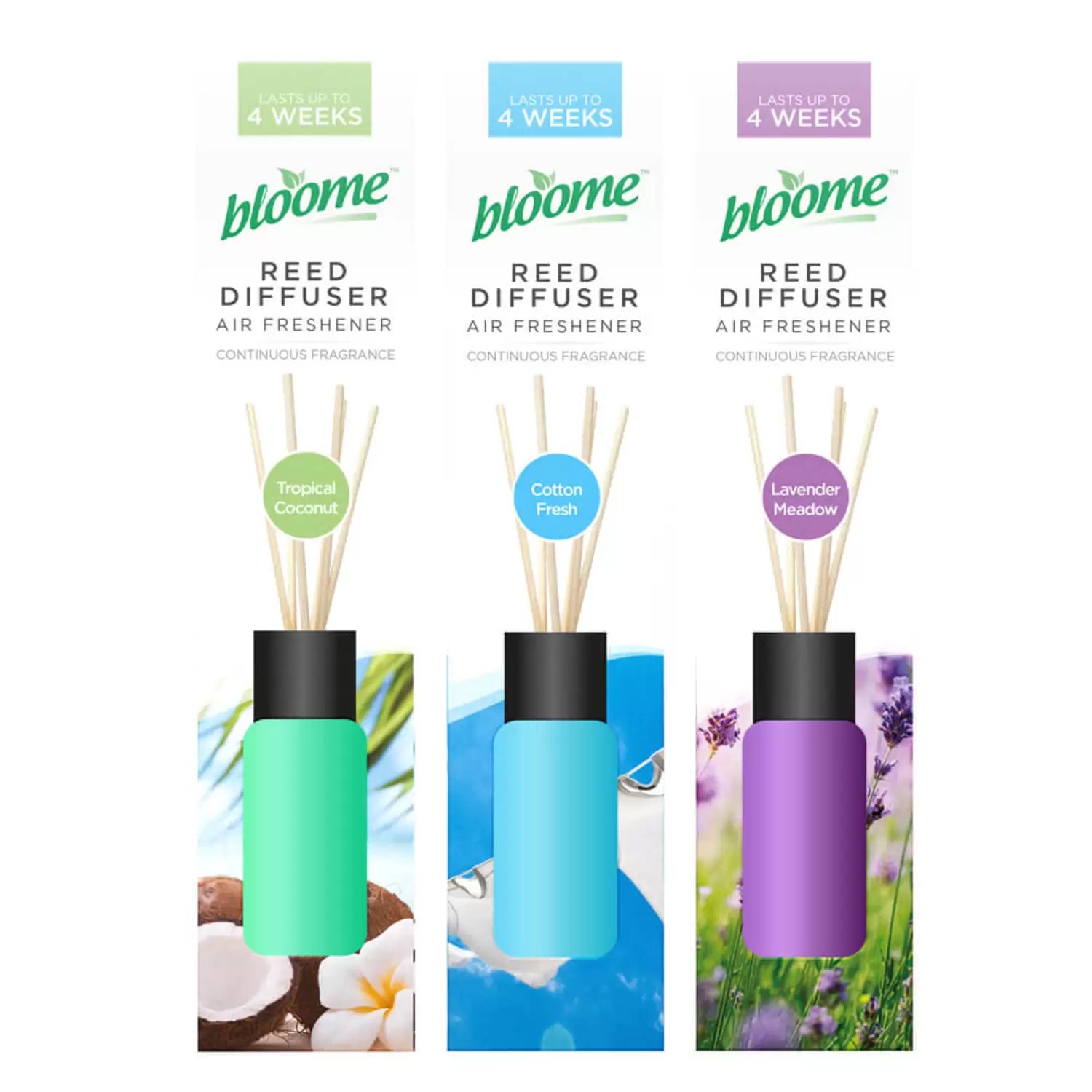 Fragranced Reed Diffuser 30ml Assorted 24 Pack – Care-Supplies